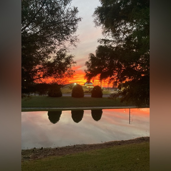 The Silva Family. - Picture 11 of 12